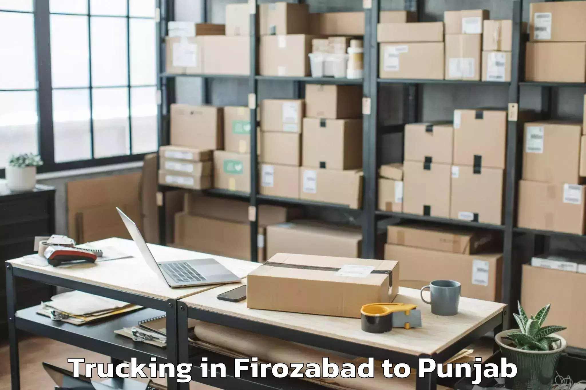 Affordable Firozabad to Punjab Agricultural University Trucking